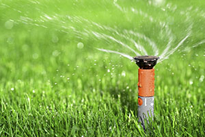 sprinkler-head-issues