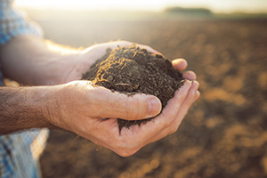 What Impact Does Soil Have on My Irrigation?