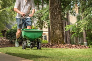 summer fertilizer 