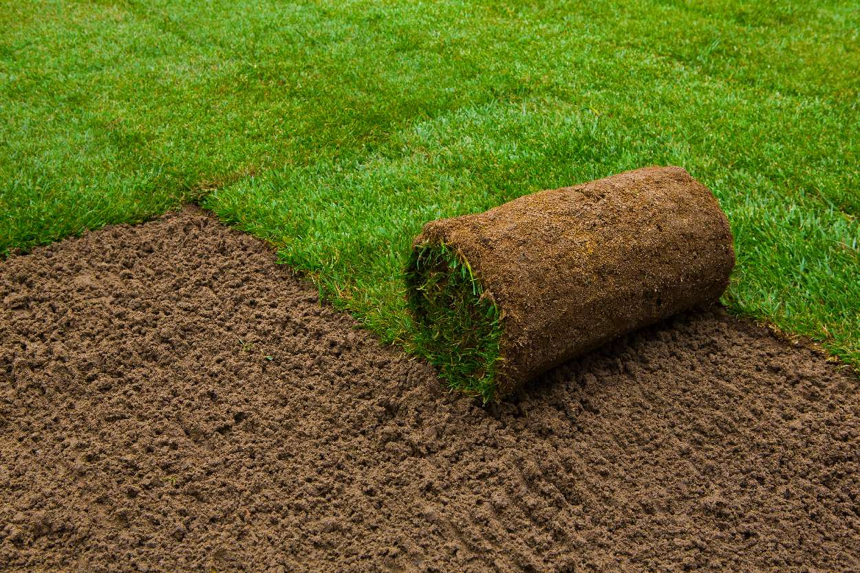Tips for Irrigating Turfgrass in the Fall